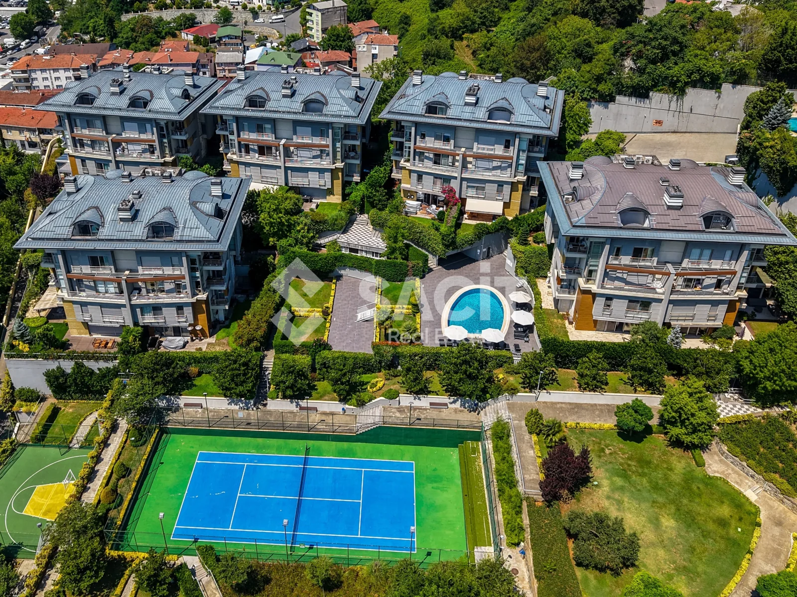 Seba Akdağ Dream