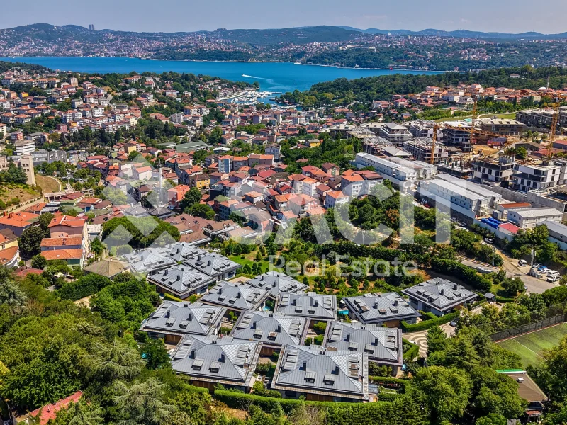 Seba Vista